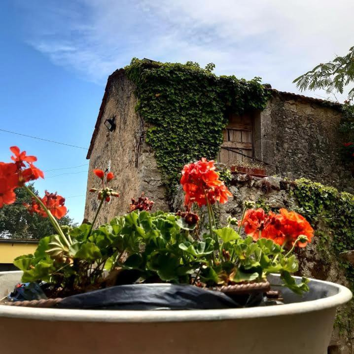 Affittacamere Varone Montaquila Kültér fotó